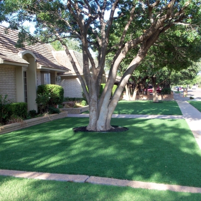 Grass Turf Avalon, California Rooftop, Front Yard Ideas