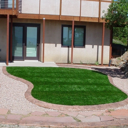 Grass Turf Culver City, California Lawn And Garden, Front Yard Landscape Ideas