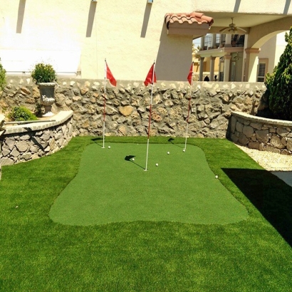 Grass Turf Dana Point, California Putting Green Grass, Backyard Designs