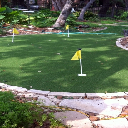 Grass Turf South Gate, California Backyard Playground, Backyard Ideas