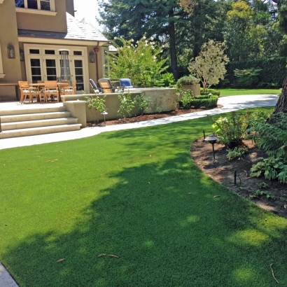 Lawn Services Stanton, California Lawns, Backyards