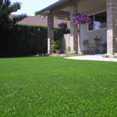 Outdoor Carpet McKittrick, California Landscape Design, Front Yard Design