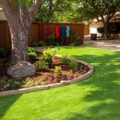 Outdoor Carpet Oildale, California Landscape Photos, Backyard Landscaping