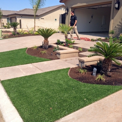 Outdoor Carpet Vincent, California Design Ideas, Front Yard Landscape Ideas