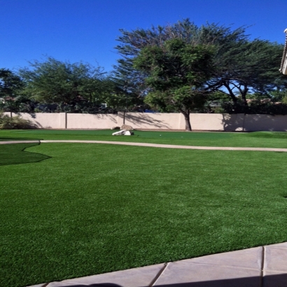 Plastic Grass Lakewood, California Gardeners, Front Yard