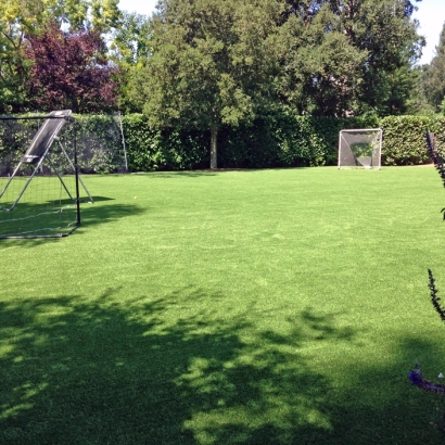 Synthetic Grass Littlerock, California Landscaping, Backyard Landscape Ideas