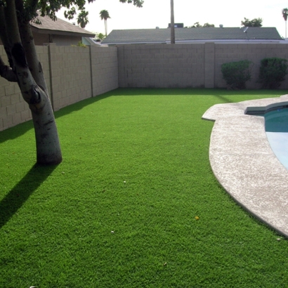 Synthetic Grass Randsburg, California Landscape Photos, Swimming Pool Designs