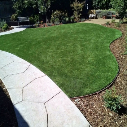 Synthetic Lawn San Joaquin Hills, California Landscape Design, Front Yard Landscaping Ideas