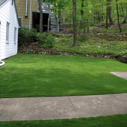 Synthetic Turf Supplier Orcutt, California Backyard Playground, Front Yard