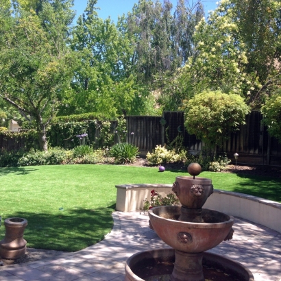 Turf Grass Los Angeles, California Lawns, Backyard Landscaping