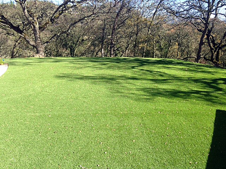 Artificial Grass Apple Valley, California Lawns, Parks