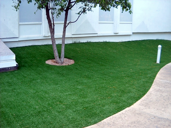 Artificial Grass Carpet Downey, California Lawn And Landscape, Commercial Landscape