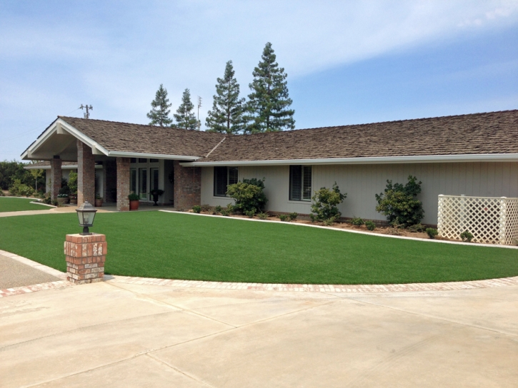 Artificial Grass Carpet Duarte, California City Landscape, Small Front Yard Landscaping