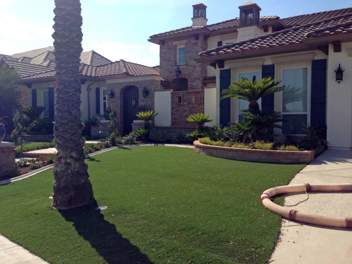 Artificial Grass Carpet Ford City, California Backyard Playground, Small Front Yard Landscaping