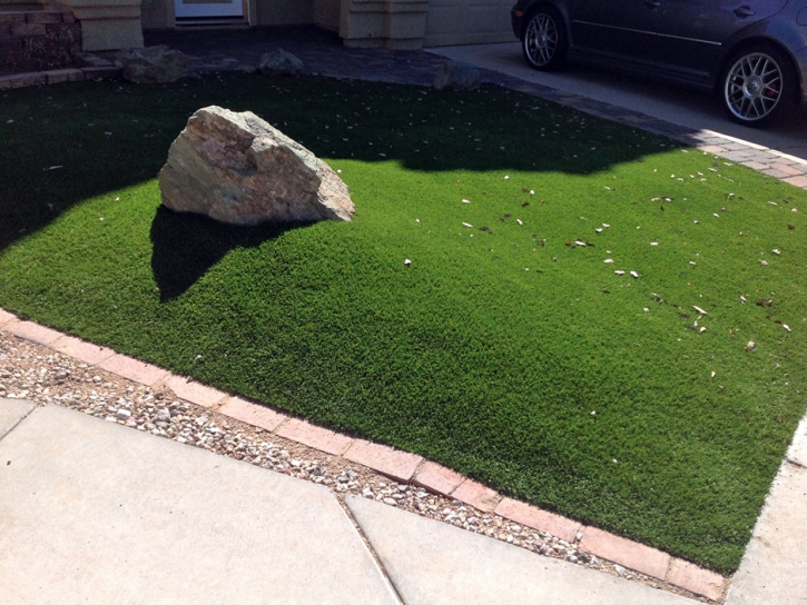 Artificial Grass Carpet Gardena, California Home And Garden