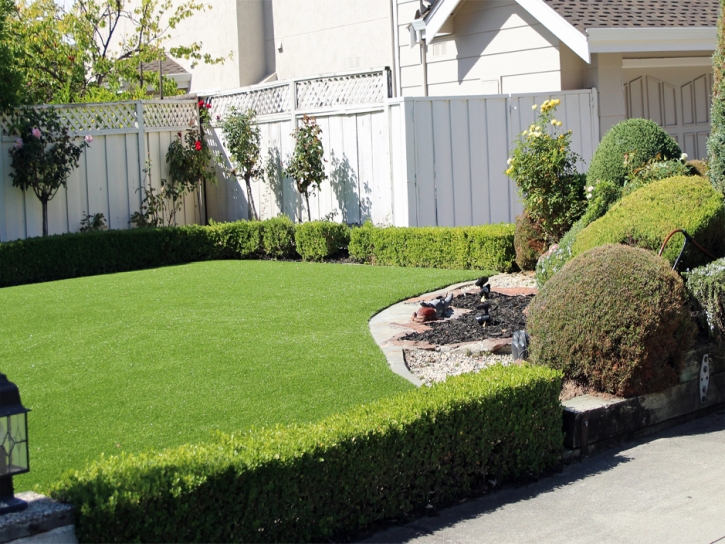 Artificial Grass Carpet Huntington Beach, California Lawns, Small Front Yard Landscaping