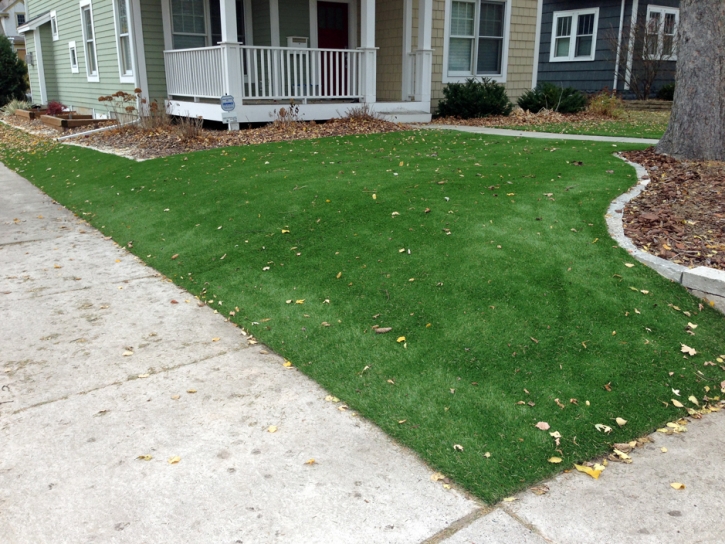 Artificial Grass Carpet Lomita, California Garden Ideas, Front Yard Design