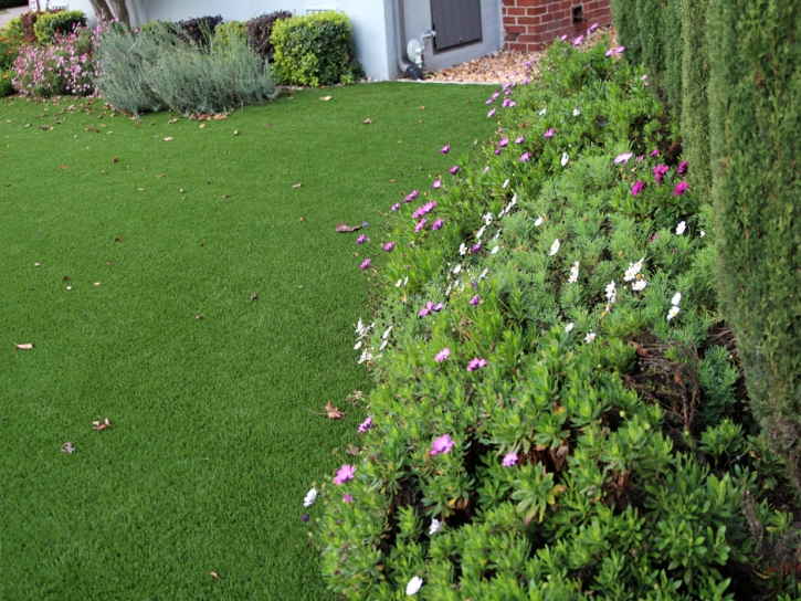 Artificial Grass Carpet Lytle Creek, California Garden Ideas, Front Yard Landscaping Ideas