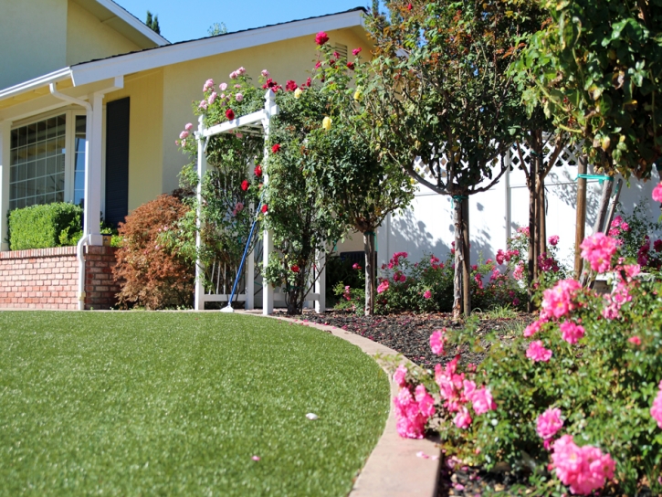 Artificial Grass Carpet Malibu Beach, California Landscape Design, Front Yard