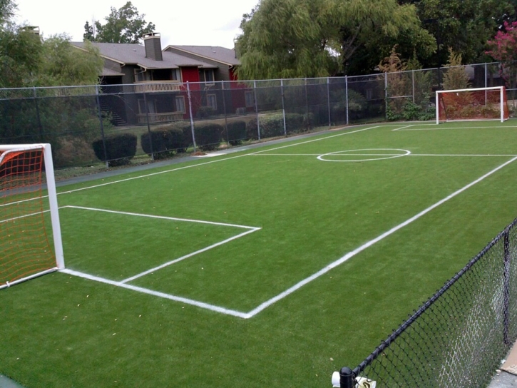 Artificial Grass Carpet Palmdale, California Backyard Soccer, Commercial Landscape