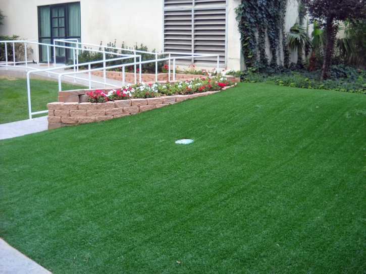 Artificial Grass Carpet Sisquoc, California Artificial Putting Greens, Front Yard Landscaping