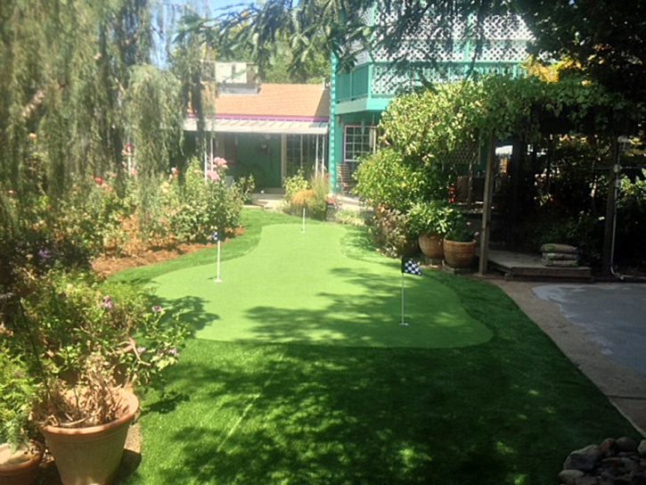 Artificial Grass Carpet South Whittier, California Home And Garden