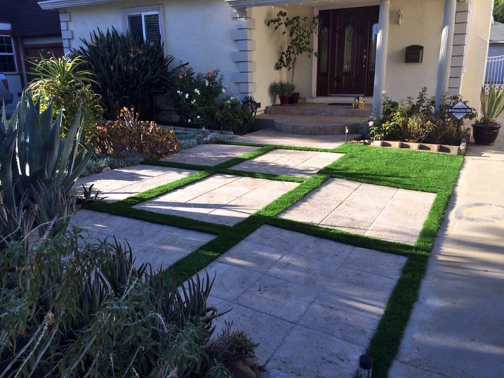 Artificial Grass Carpet West Rancho Dominguez, California Lawn And Garden, Landscaping Ideas For Front Yard