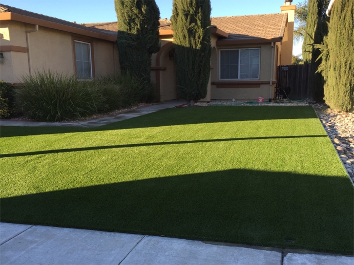 Artificial Grass Channel Islands Beach, California City Landscape, Front Yard Landscape Ideas