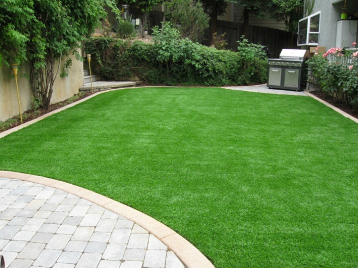 Artificial Grass Edmundson Acres, California Landscape Photos