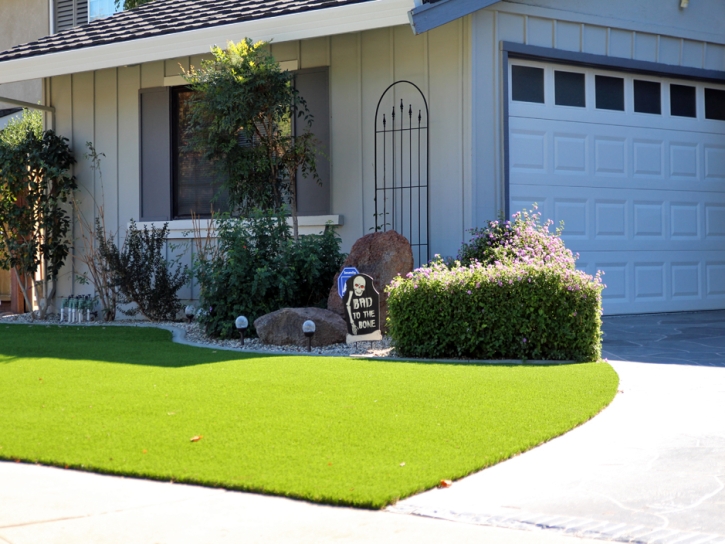 Artificial Grass Goleta, California Rooftop, Front Yard Landscaping