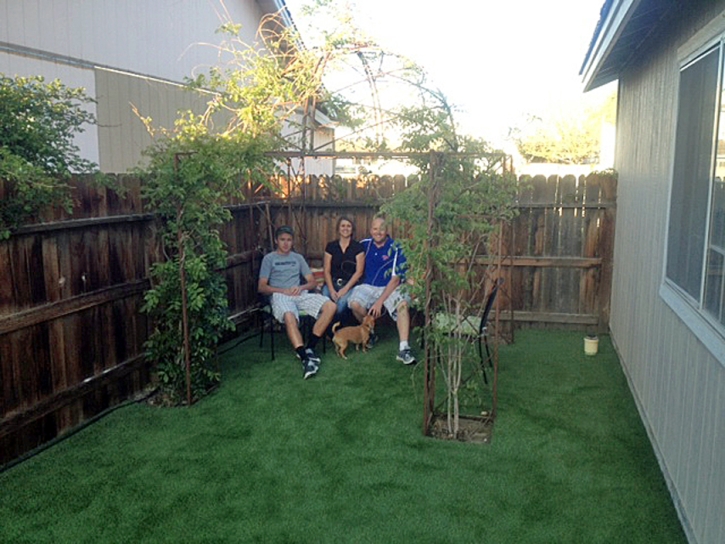 Artificial Grass Installation Seal Beach, California Cat Grass, Backyard Garden Ideas