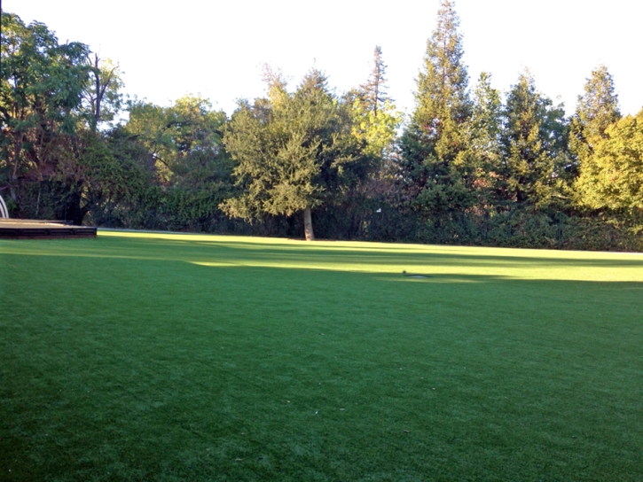 Artificial Grass Installation Stallion Springs, California Rooftop, Recreational Areas