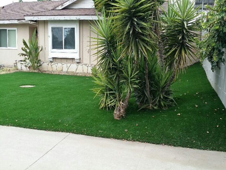 Artificial Grass Installation Toro Canyon, California Lawn And Garden, Front Yard Landscaping Ideas