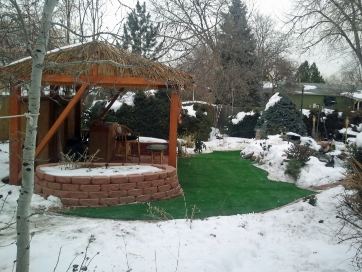 Artificial Grass Laguna Beach, California Paver Patio, Backyard Design