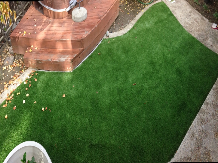 Artificial Grass Pinon Hills, California Design Ideas, Small Backyard Ideas