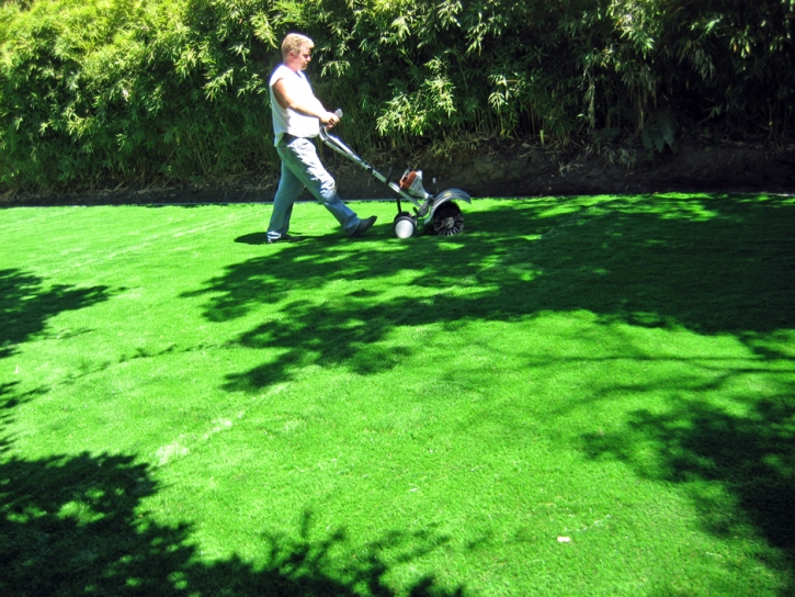 Artificial Grass South Pasadena, California Lawn And Landscape, Backyard Ideas