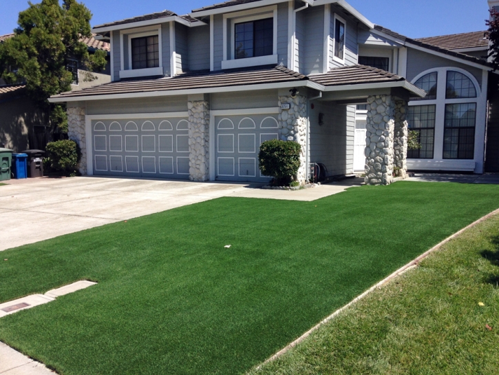 Artificial Grass South Taft, California Gardeners, Small Front Yard Landscaping