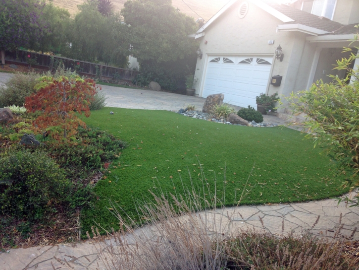 Artificial Lawn Arvin, California Roof Top, Front Yard Landscaping