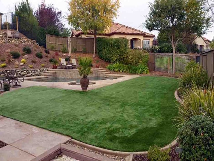 Artificial Lawn Bloomington, California Roof Top, Backyard Landscaping Ideas