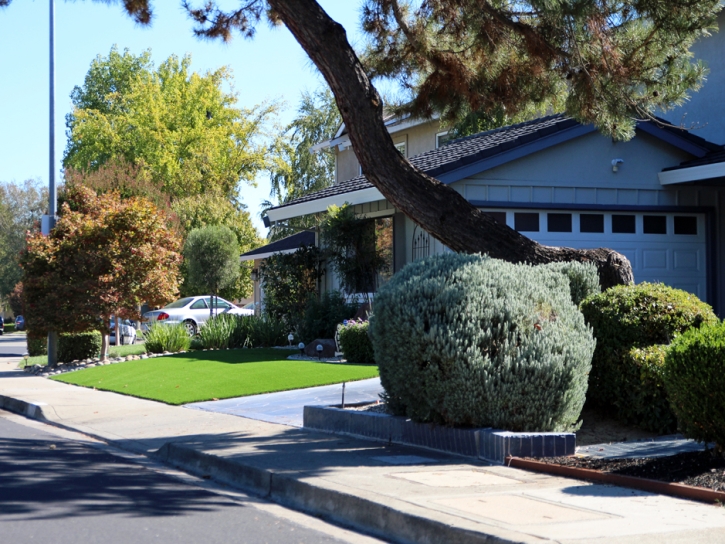 Artificial Lawn Calabasas, California Landscaping, Small Front Yard Landscaping