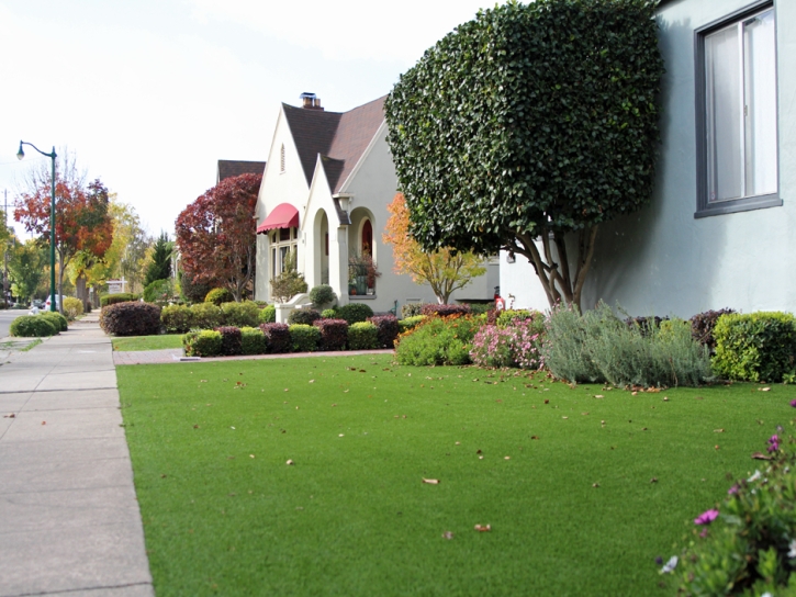 Artificial Lawn Laguna Beach, California Backyard Deck Ideas, Front Yard Design