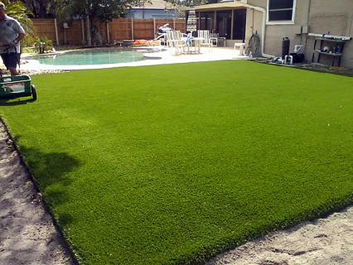 Artificial Lawn Randsburg, California Roof Top, Above Ground Swimming Pool