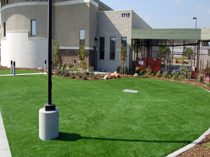 Artificial Lawn Ventura, California Landscaping Business, Commercial Landscape