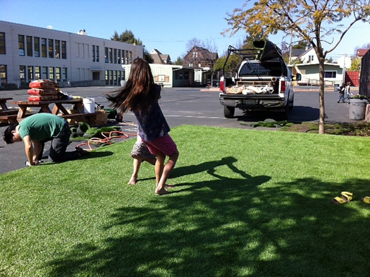 Artificial Turf Bakersfield, California Backyard Deck Ideas, Commercial Landscape