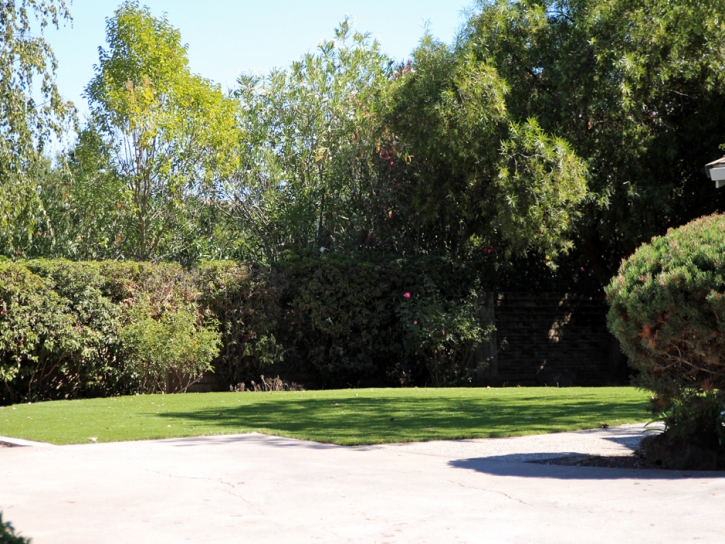 Artificial Turf Century City, California Backyard Playground, Front Yard