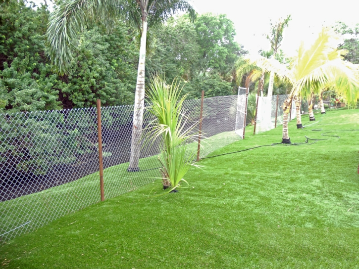 Artificial Turf Cost Claremont, California Roof Top, Small Backyard Ideas