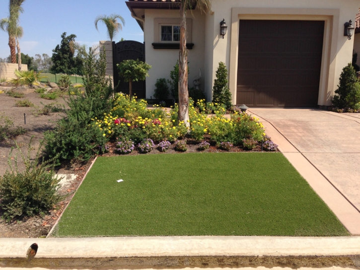 Artificial Turf Cost Ladera Ranch, California Landscape Design, Front Yard