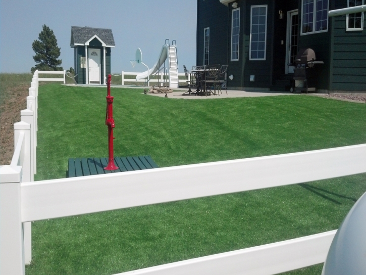 Artificial Turf Cost Laguna Niguel, California Garden Ideas, Front Yard Ideas