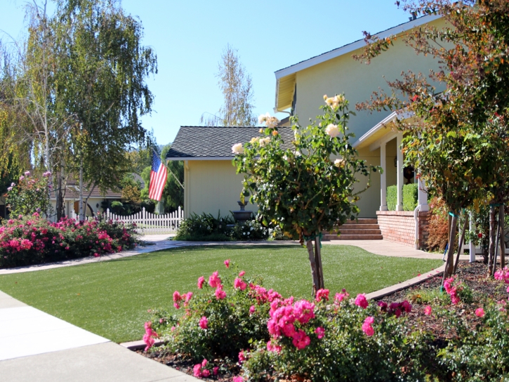 Artificial Turf Cost Sherman Oaks, California Garden Ideas, Front Yard Ideas