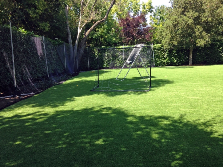 Artificial Turf El Cerrito, California Gardeners, Backyard Ideas